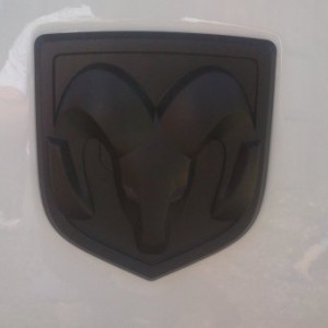 pdipped rear badge