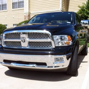 Ram - grille, low