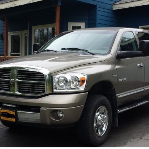 washed waxed ram