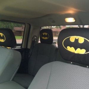 Head Rest Covers