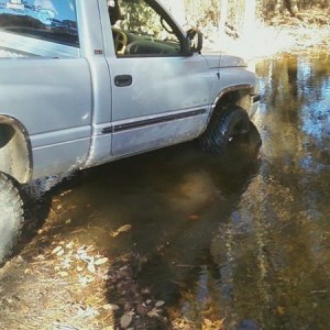 Pond