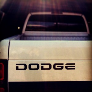 Random picture