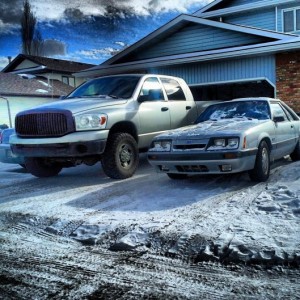 My silver babies