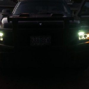 Spec d halo projectors