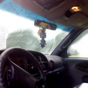 picture011
