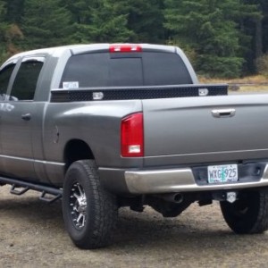 091814 Swifty Ram 02