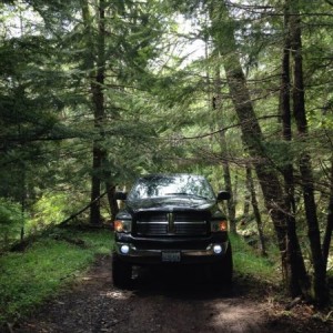Mount Rainier National Forest