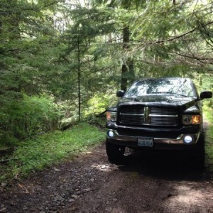 Mount Rainier National Forest