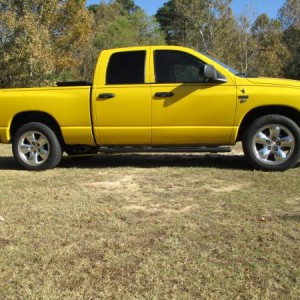 Super Bee in the park