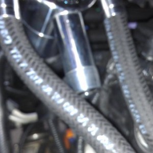 BT catch can with braided lines