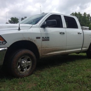 on the farm