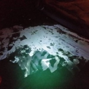 Started to remove the green paint from my hood
