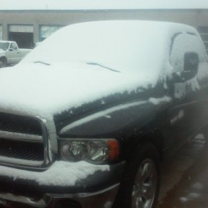Cold in in texas