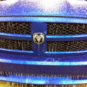 Frozen Ram
