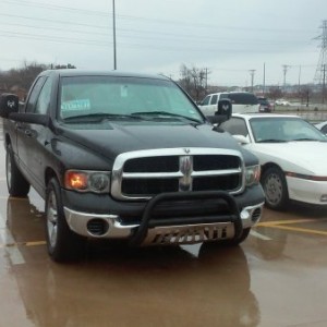 New bull bar