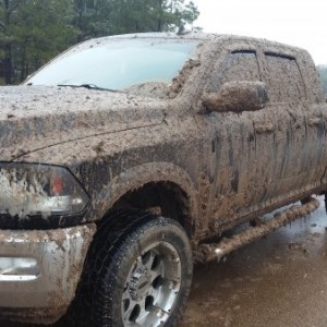 muddin