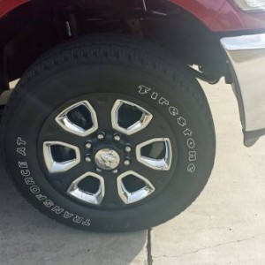 plasti coated stockies