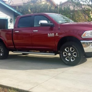 plasti coated stockies2