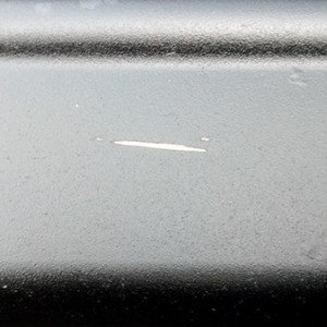 OEM nerf bars
