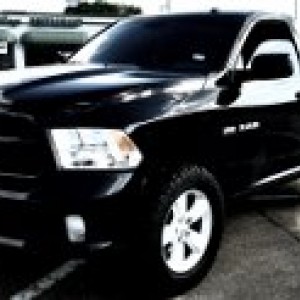 ram