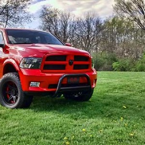 Bull Bar