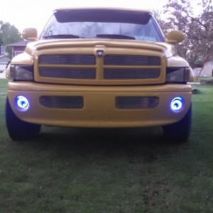 halos in