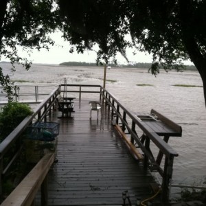 BACK YARD - VERY HIGH TIDE