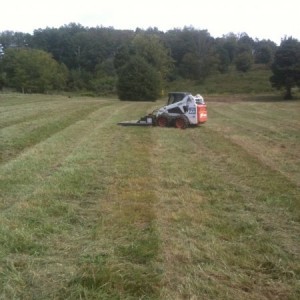 LAWNMOWER ON STEROIDS