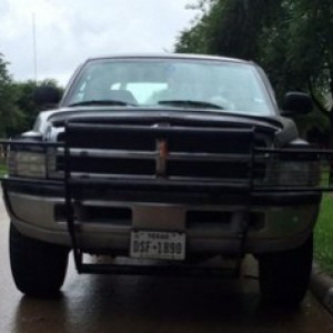 Grill guard installed
