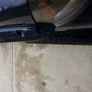 Bushwhacker tire coverage