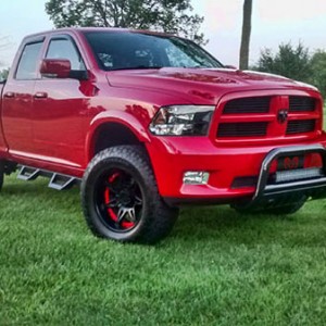 2010 Sport