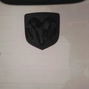 Tailgate badge.