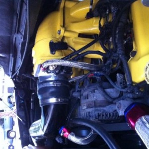 Painted Intake