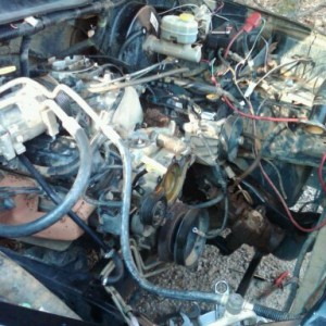 Last year when I pulled the retired beast out of the woods for repair.... Replaced water pump, belt, new metal fan including oil pump and oil pressure