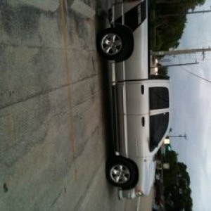 bone stock!