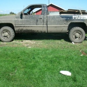 Third bud bog.