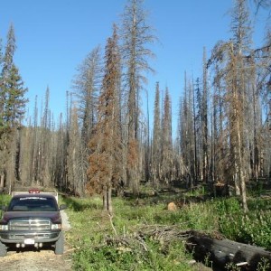 Poe Cabin fire and my truck.