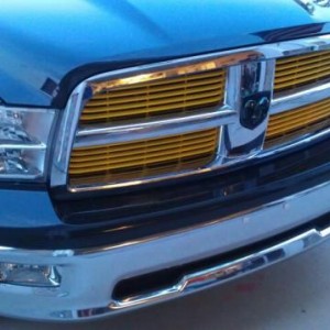 Emblem and grill painted