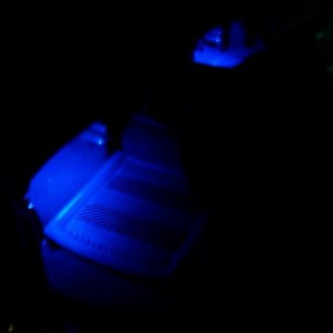 rear floor board lighting