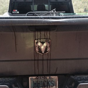 It's a good hunting trip when you have to wash the bed of your truck out