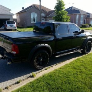 black nerf bars