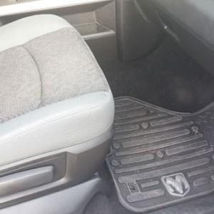OEM Slush mats (front and back)