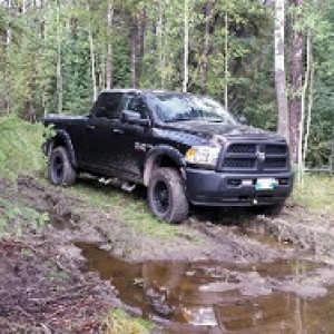 Off-roading in the great Boreal Forest
