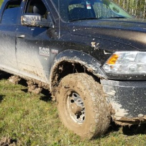 At the Mud Bogs