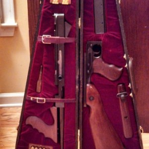 Violin Gun Case
