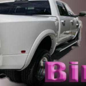 Birddog Sig Banner