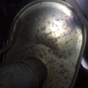 IMG 7491[1]