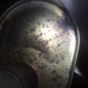 IMG 7490[1]
