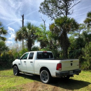 big cypress