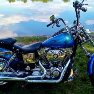 Pic of my harley by the lake across the road from my house